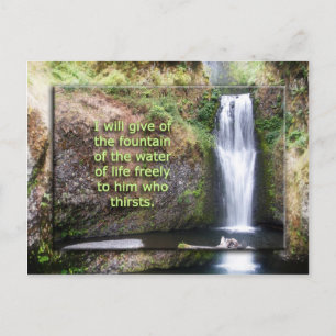 Fountain of Life Postcard