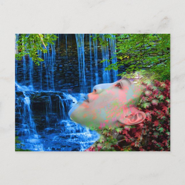 Fountain of Youth Postcard (Front)