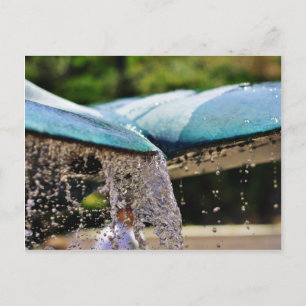 Fountains At The Birch Aquarium In La Jolla Postcard