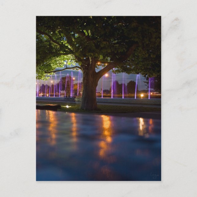 Fountains show - Warsaw by night Postcard (Front)