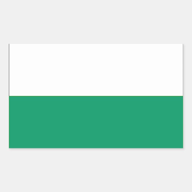 FOUR Aalten Flag Rectangular Sticker (Front)