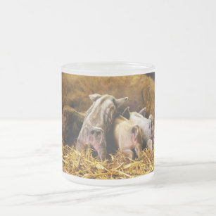 Four Baby Piglet Mangalitsa Hogs Showing Butts Frosted Glass Coffee Mug