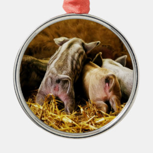 Four Baby Piglet Mangalitsa Hogs Showing Butts Metal Tree Decoration
