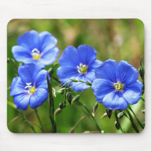 Four Beautiful Blue Wildflowers Bloom Kananaskis Mouse Mat