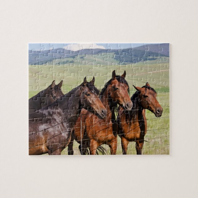 Four Beautiful Horses - 110 piece Jigsaw Puzzle (Horizontal)