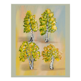 Four birch trees in color, botanical. poster