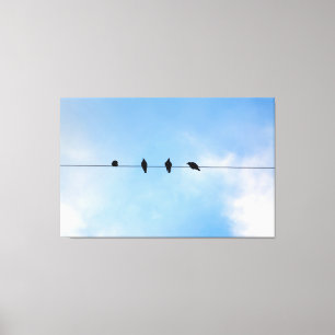 Four Birds on a Wire (photography by me) Canvas Print