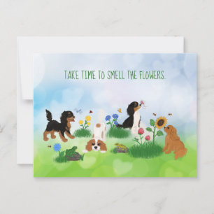 Four Cavalier Spaniels in a Field of Flowers Postcard