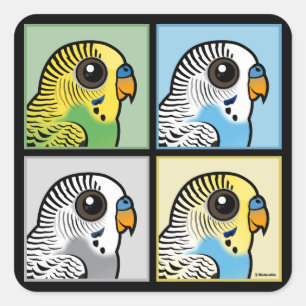 Four Colour Budgies Square Sticker