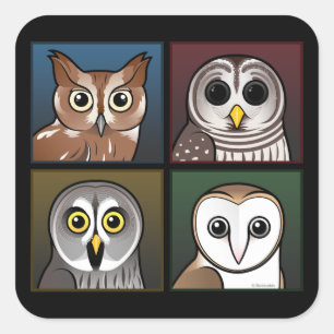 Four Colour Owls (dark) Square Sticker
