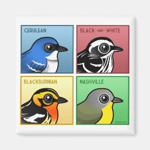 Four Colour Warblers Magnet