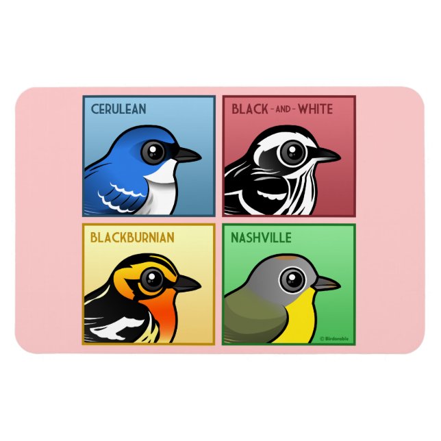 Four Colour Warblers Magnet (Horizontal)