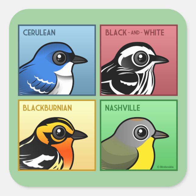 Four Colour Warblers Square Sticker (Front)
