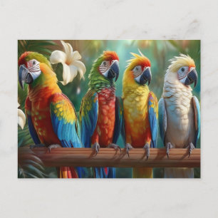 Four Colourful Parrots Postcard