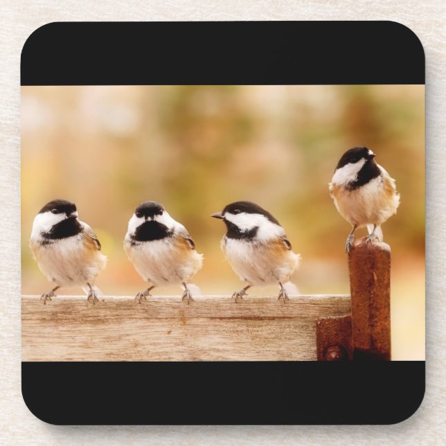 Four Cute Chickadees Coaster (Front)