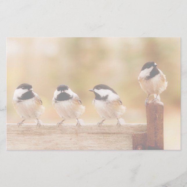 Four Cute Chickadees Stationery (Front)
