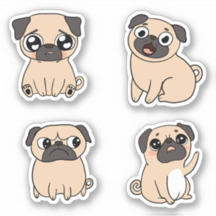 Four Cute Pug Dog Expressions