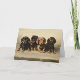 Four Dachshund Puppies   Carl Reichert Card