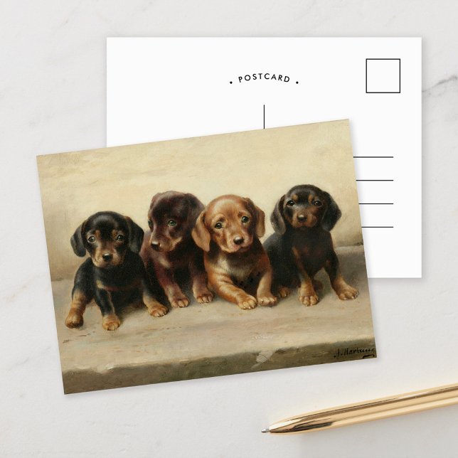 Four Dachshund Puppies | Carl Reichert Postcard (Creator Uploaded)