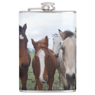 Four Different Color Horses, Hip Flask