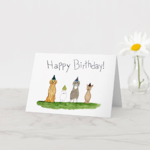 Four Dogs in Party Hats Birthday Card