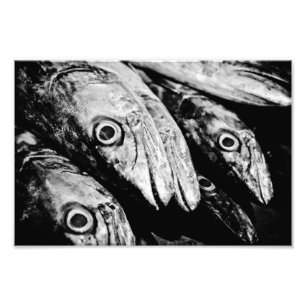 four eyes photo print