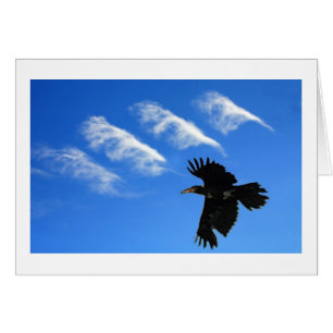 Four Feathers