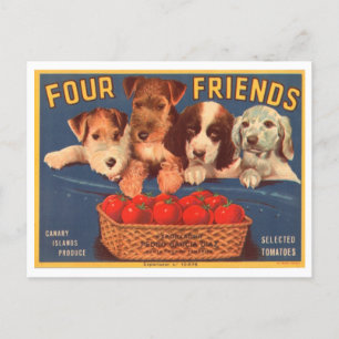 Four Friends Vintage Crate Label Postcard