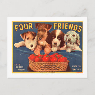 Four Friends Vintage Tomato Crate Dogs Label Postcard