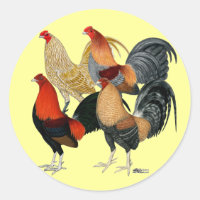 Four Gamecocks