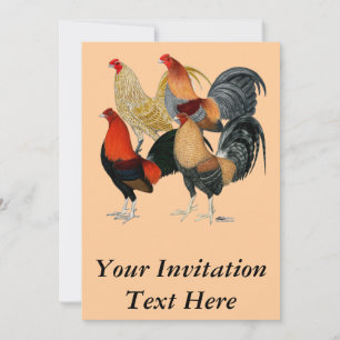 Four Gamecocks Invitation