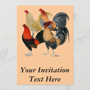 Four Gamecocks Invitation