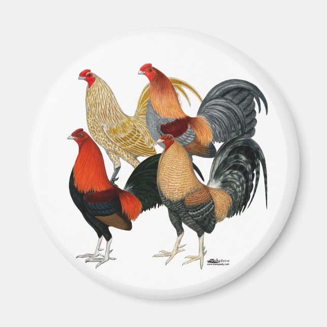 Four Gamecocks Magnet (Front)