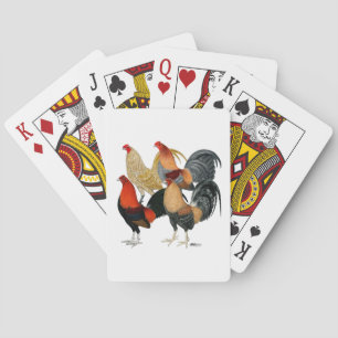 Four Gamecocks Playing Cards