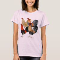 Four Gamecocks