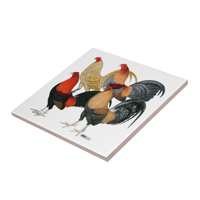 Four Gamecocks Tile (Side)