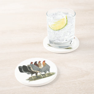 Four Gamefowl Hens Coaster