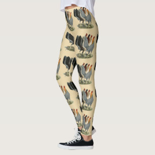 Four Gamefowl Hens Leggings