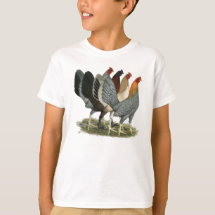 Four Gamefowl Hens T-Shirt