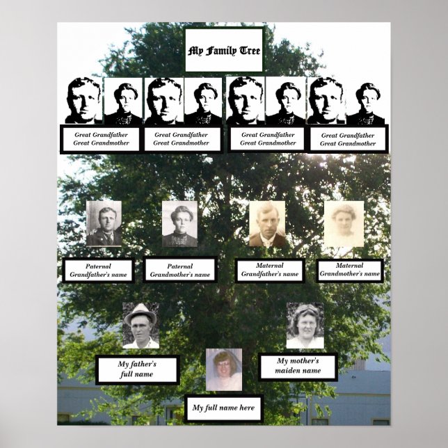 Four-Generation Elm Family Tree Summertime Photos Poster (Front)