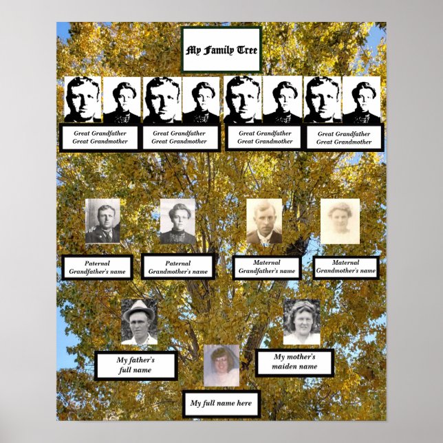 Four Generation Fall Cottonwood Family Tree Photos Poster (Front)