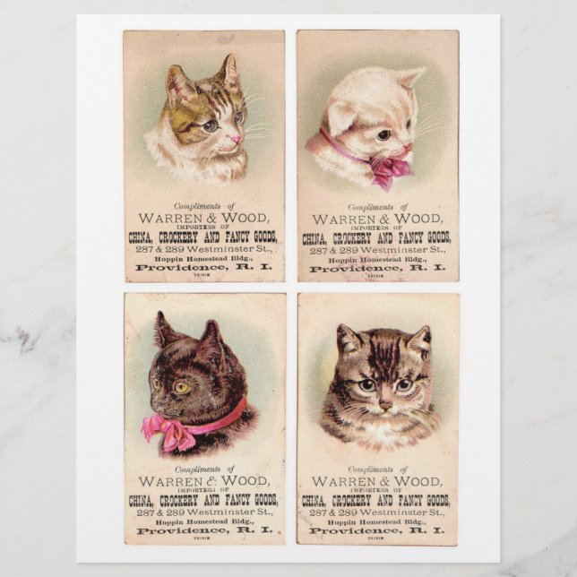 Four Genuine (not AI) Trade cards • Helena Maguire (Front)