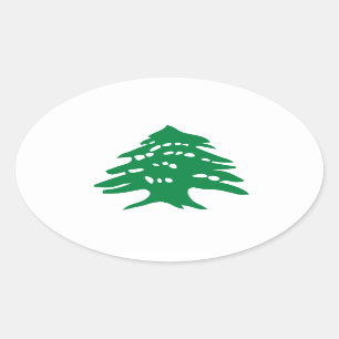 FOUR Green Lebanon Cedar Tree Oval Sticker