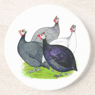 Four Guineas Coaster