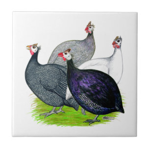 Four Guineas Tile