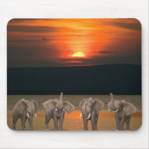 Four Happy Elephants Mouse Mat