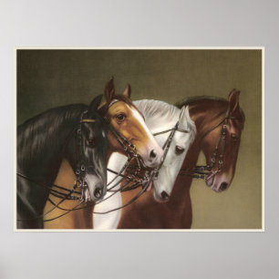 FOUR HORSES Fine Art Poster