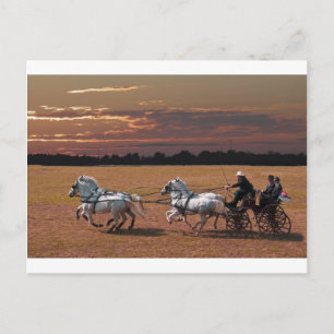 four-in-hand postcard