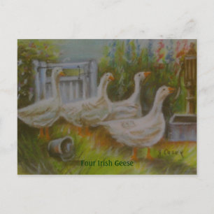 Four Irish Geese Pastel Drawing by Joanne Casey -  Postcard