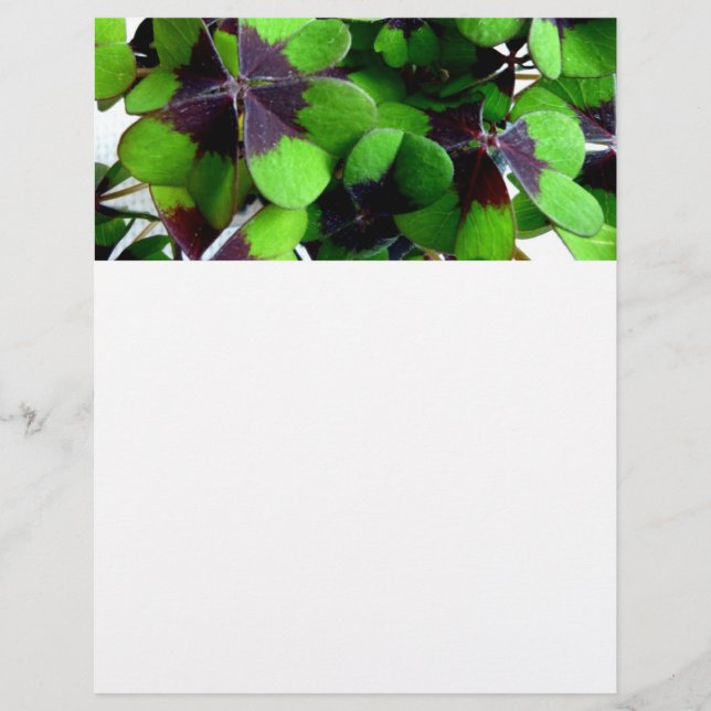 Four Leaf Clover Letterhead Shamrock St. Patrick’s (Front)